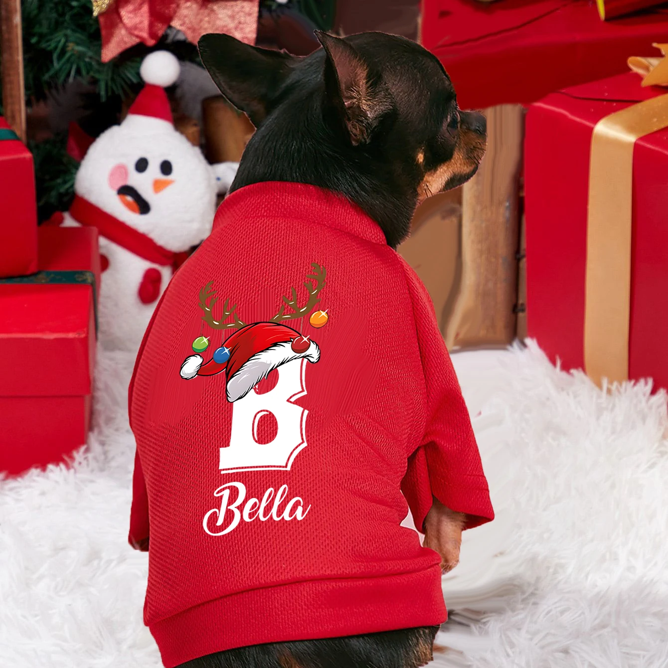 Winter Clothing Name - Gepersonaliseerde Kerst Hondenkleding Aangepaste Naam Honden