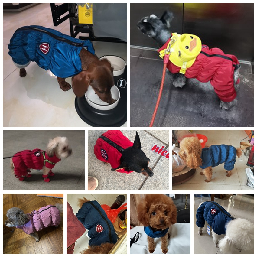 Rits Sneeuw Unisex Hond Waterd - Winter Clothing Baby recensie en prijs