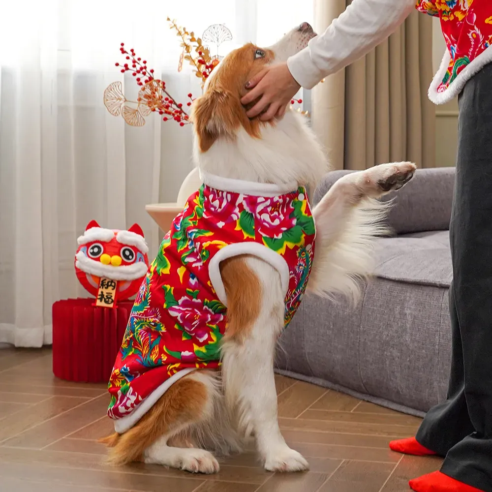 Winter hondenkleding honden ge - Winter Clothing Name recensie en prijs