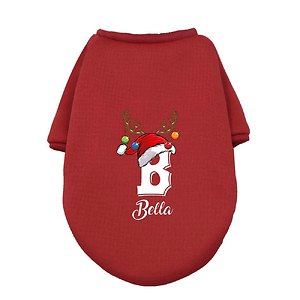 Gepersonaliseerde Kerst Hond H - Winter Clothing Name recensie en prijs